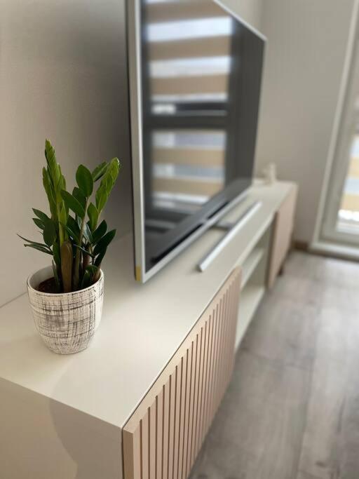 Apartman Na Kopci โกชิเซ ภายนอก รูปภาพ